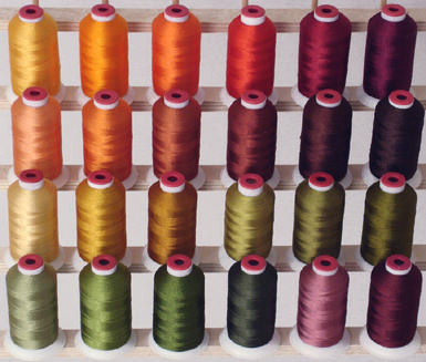 Polyester Embroidery Threads Kit 24 Fall Colors